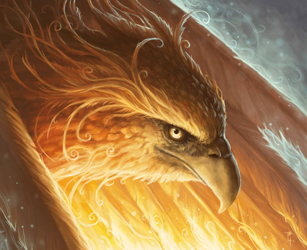 Phoenix in a fiery light by queenofeagles