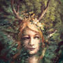 Gift - Aragnes