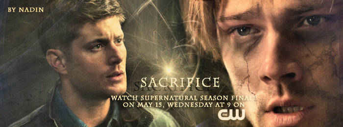 Season 8 Finale (Banner for Timeline)