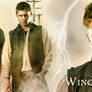 Winchester BROS. (Banner for Timeline)