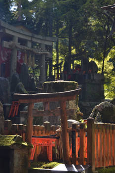 Japan Trave Fushimi Inari