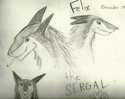 Felix the Sergal