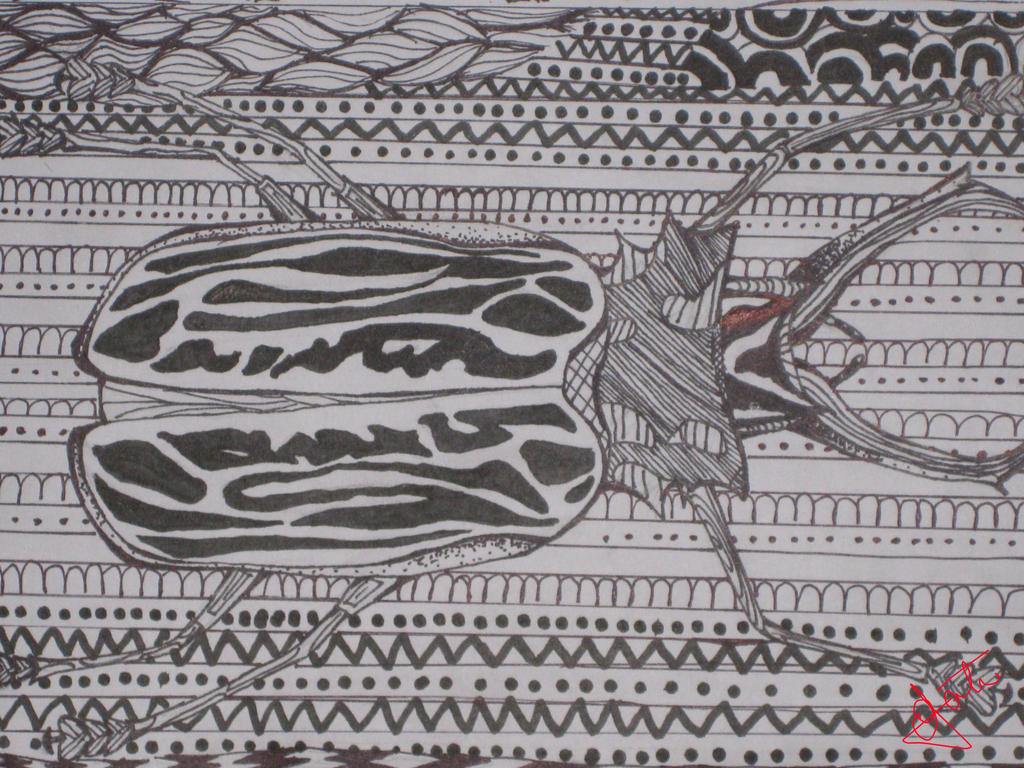 Texture Insect Drawing Insect with textures School Work #6 by TheGirlOfFate on DeviantArt