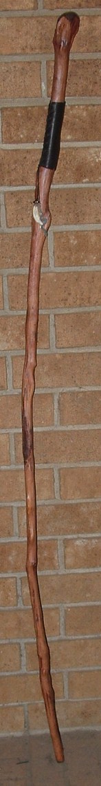 Driudic Staff