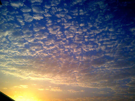 Morning Dotted Sky