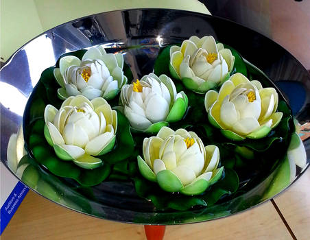 A Bowl of Flowers