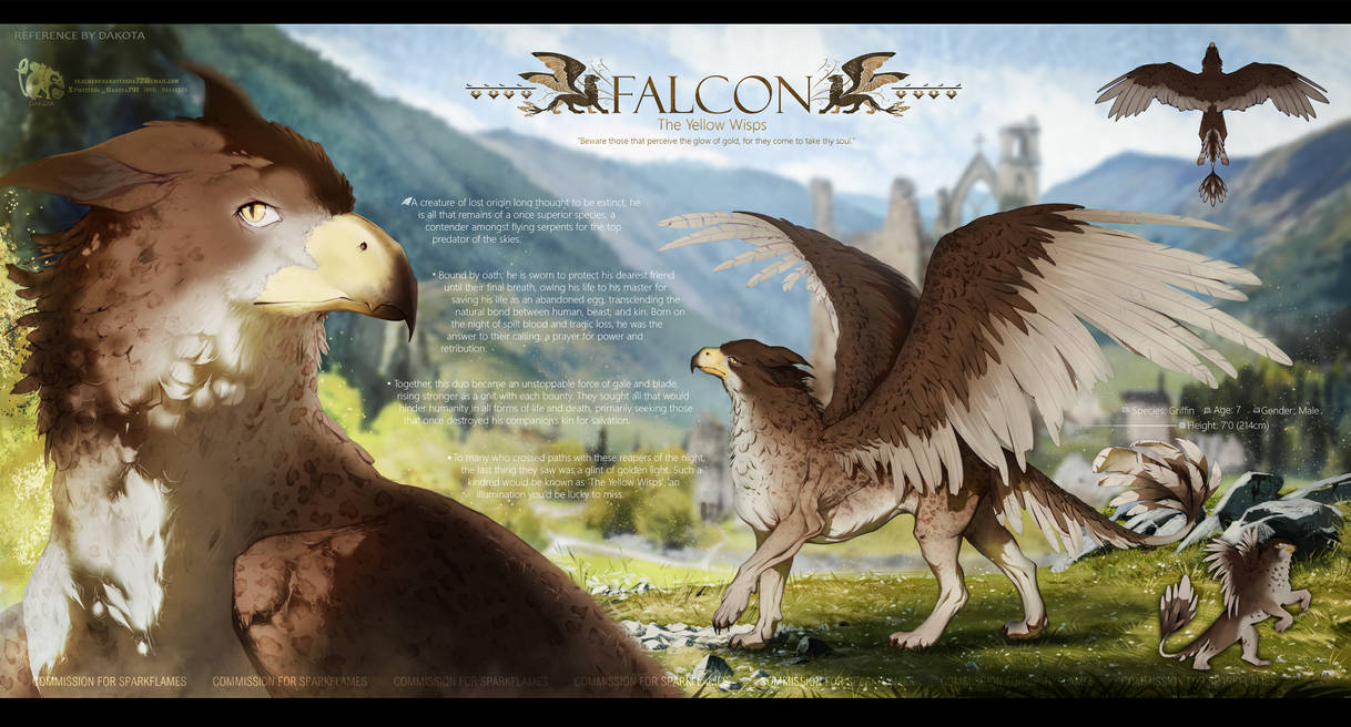 Falcon Reference Falcon reference sheet commission by dakota791 on DeviantArt