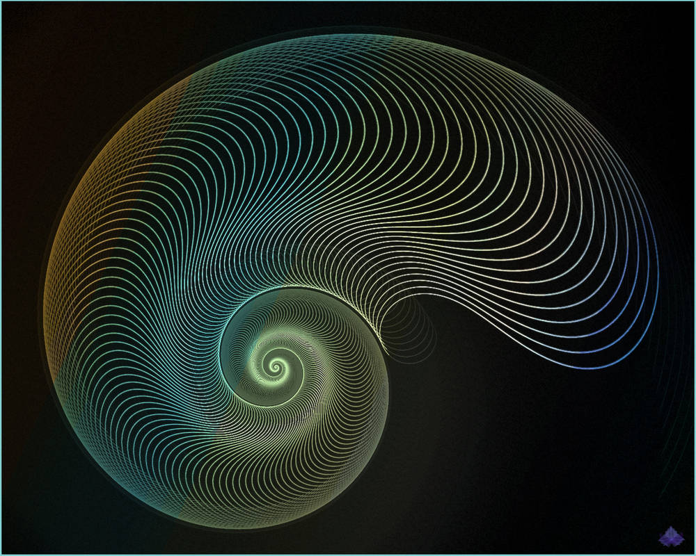Nautilus by zweeZwyy