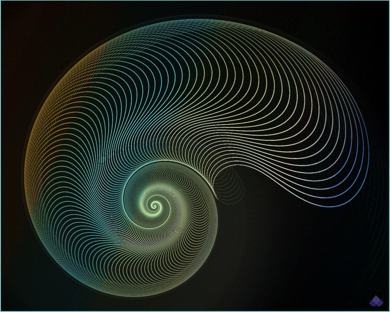 Nautilus by zweeZwyy