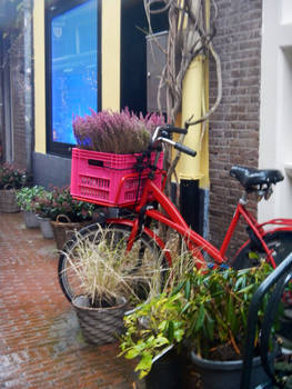 Flowery bicycle