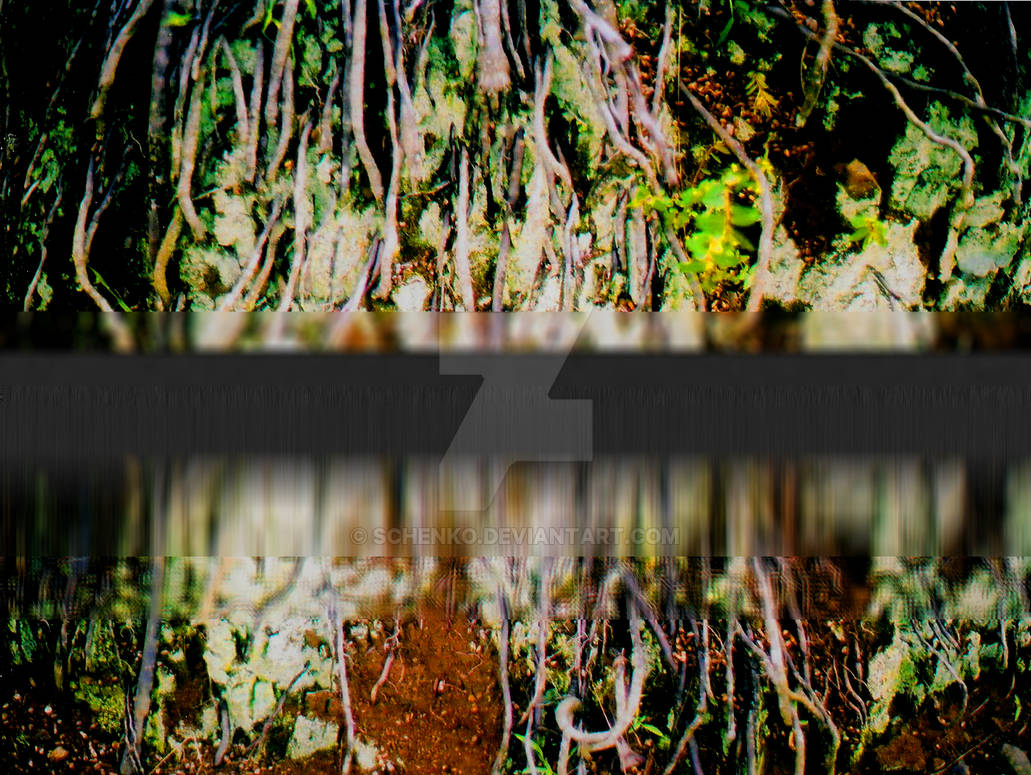 Roots by schenko on DeviantArt