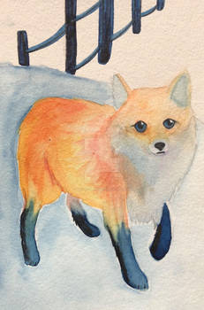 Fox