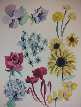 Assorted Flowers :)