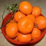 Bowl of Oranges