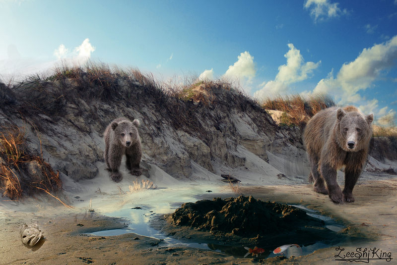 The Fish who cried Bear by ZeeShiKing The Fish who cried Bear by ZeeShiKing