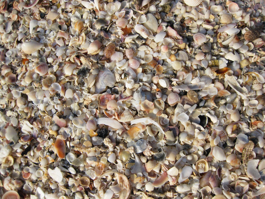 Shells by dmcshinobi on DeviantArt