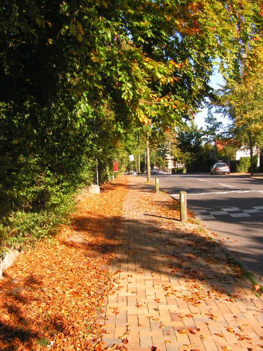 Autumn24: Road