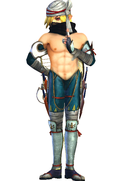 Sheik The Sheikah Tribesman - Hyrule Warriors