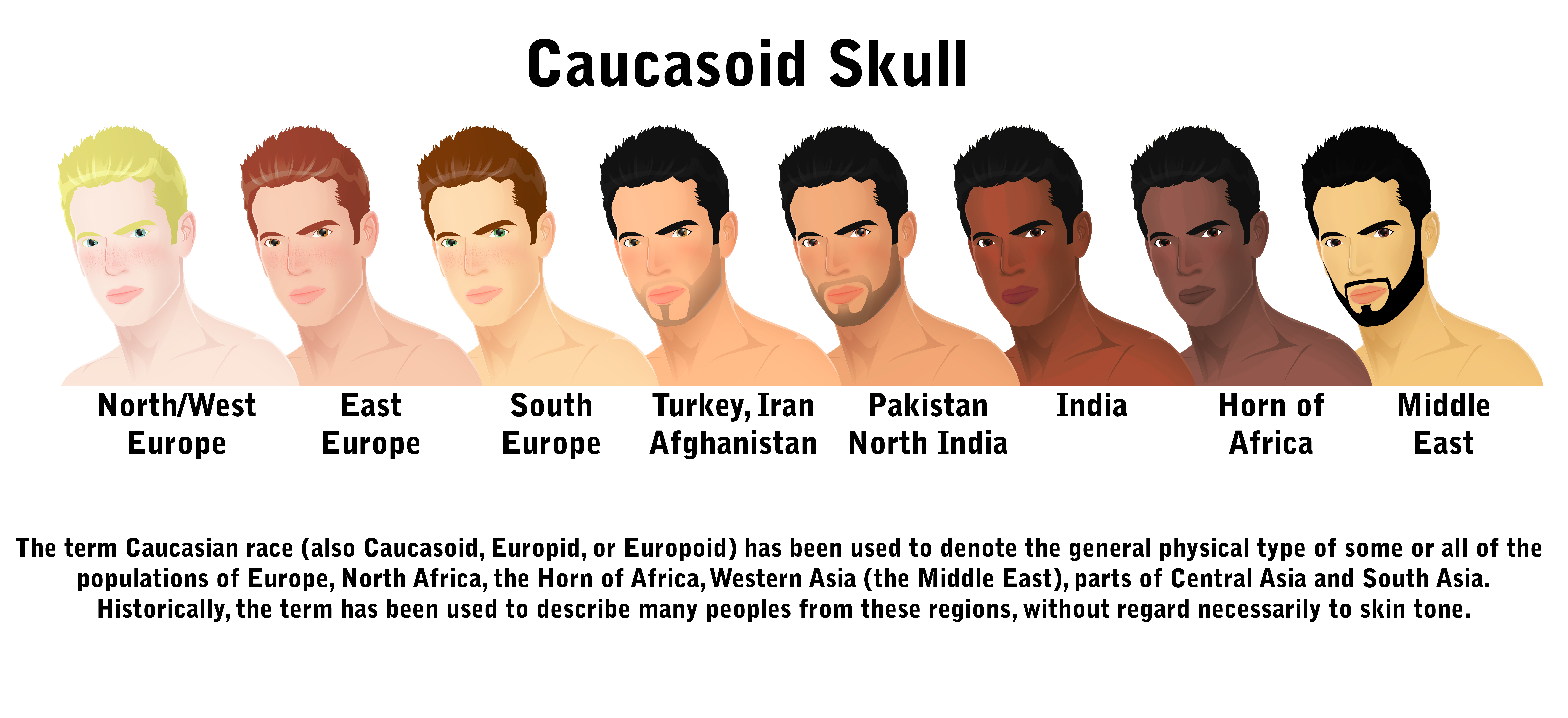 Caucasoid skull