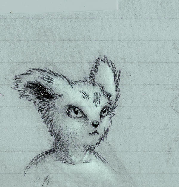 Flip Portrait By Saskle On Deviantart Flip Portrait By Saskle On Deviantart