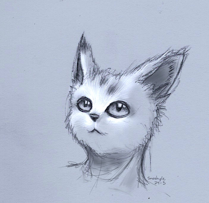Flip Portrait Ii By Saskle On Deviantart Flip Portrait Ii By Saskle On Deviantart