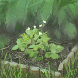 Plein Airpril Day 30