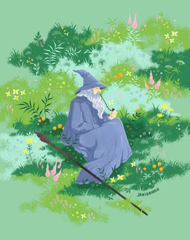 the Grey Wizard