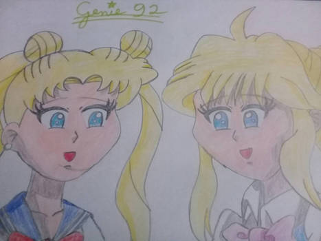 Anime and manga girls - Usagi and Kilala by Genie92