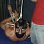 Hogtied55a