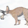 Triceratops horridus
