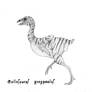 Gallosaurus gregpaulus