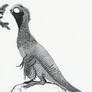 Oviraptor philoceratops