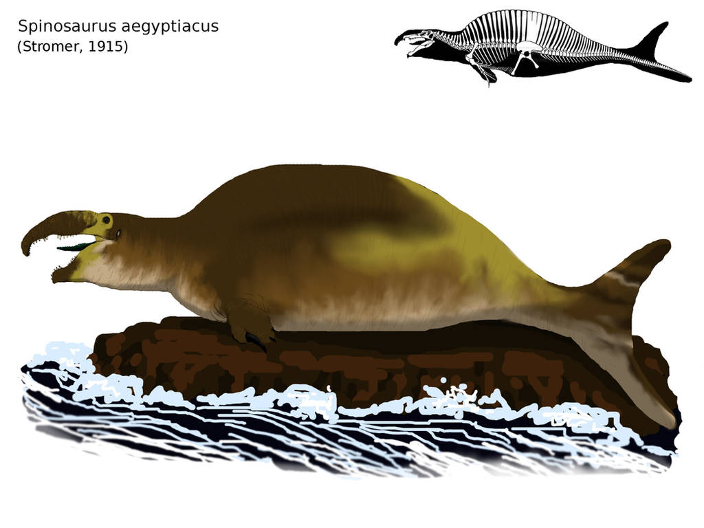 Spinofaarus vegatiacus by yoult