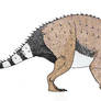 Crynosaurs Triceratops prorsus