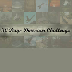 30DDDC - Compilation