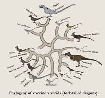 Phylogeny of Wyverns (part 1)