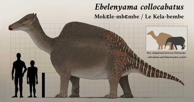 Ebelenyama collocabatus
