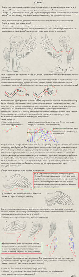 Tutorial: Wings.Rus