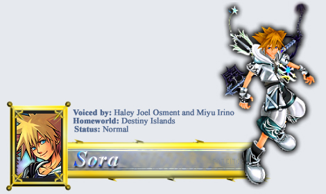 Sora's Profile Header