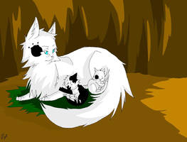 Warrior cats: Pawpelt