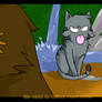 Jayfeather hates moss