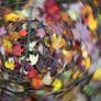 Autumn Leaves