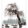 Gnarled Tree