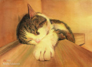 Customized cat portrait. Watercolor