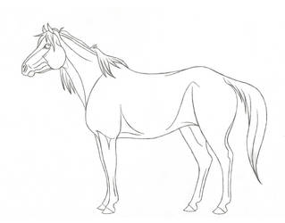 Caspian pony mare