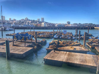 Pier39 as usual