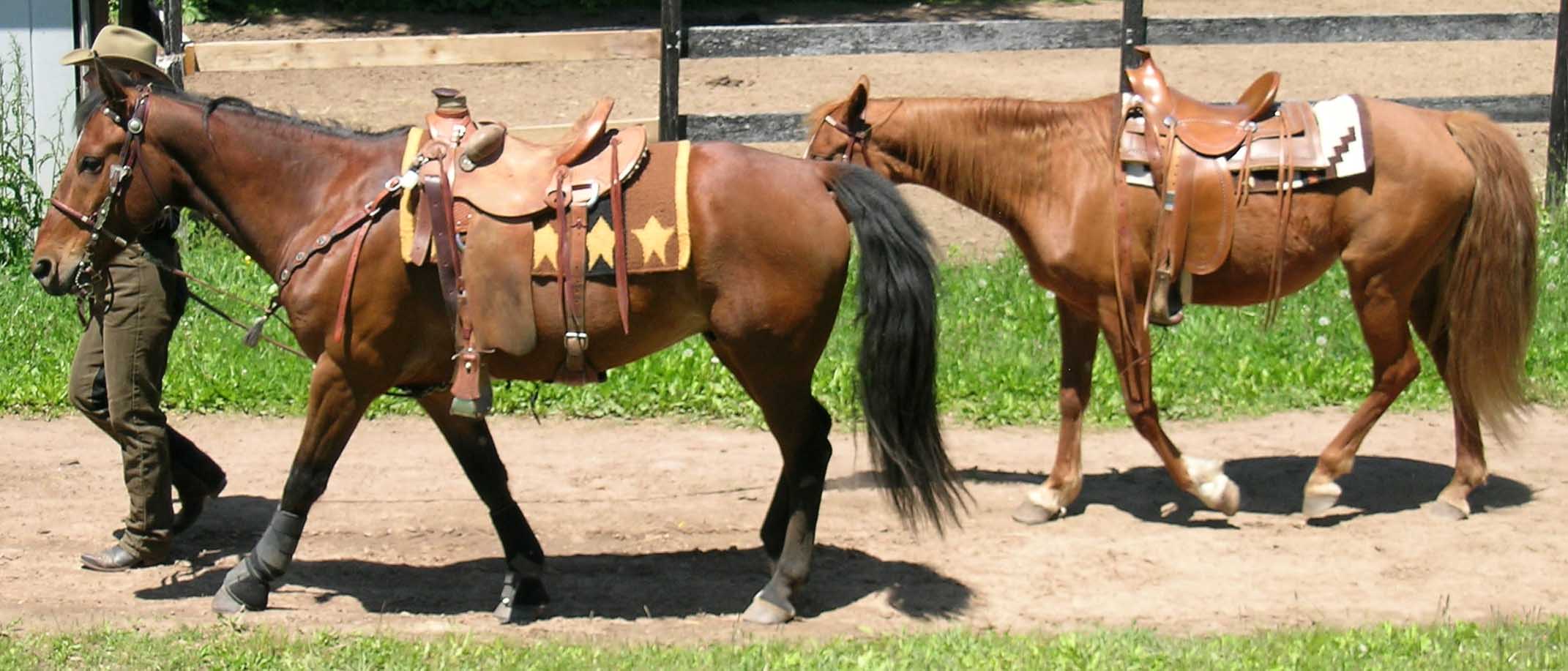 Cowboy Mounted Shooting 09