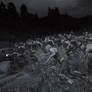 Days Gone - Photo Mode screenshots