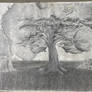 that old tree drawing