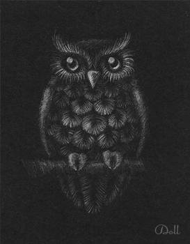 Owl